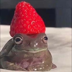 Meet your Posher, Vivian